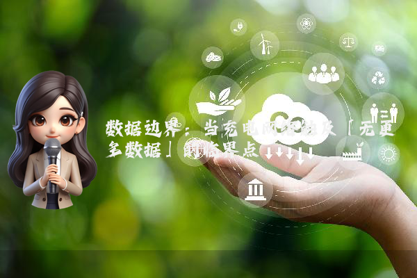 数据边界：当充电网络触及「无更多数据」的临界点