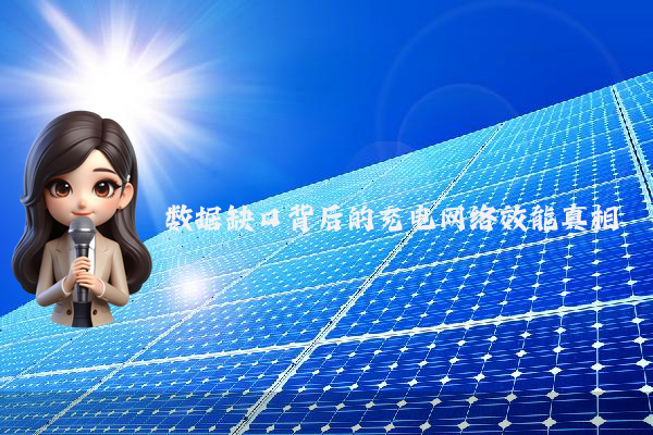 数据缺口背后的充电网络效能真相