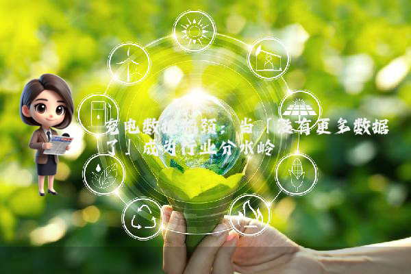 充电数据瓶颈：当「没有更多数据了」成为行业分水岭