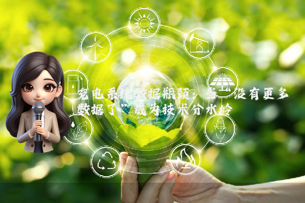 充电系统数据瓶颈：当“没有更多数据了”成为技术分水岭