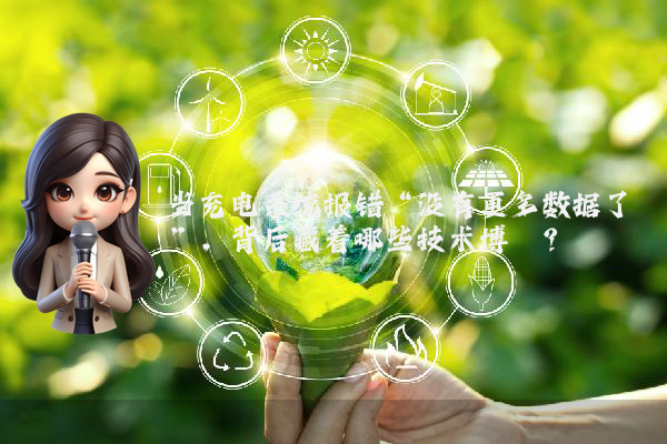 当充电系统报错“没有更多数据了”，背后藏着哪些技术博弈？