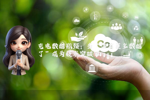 充电数据瓶颈：当“没有更多数据了”成为技术突破口