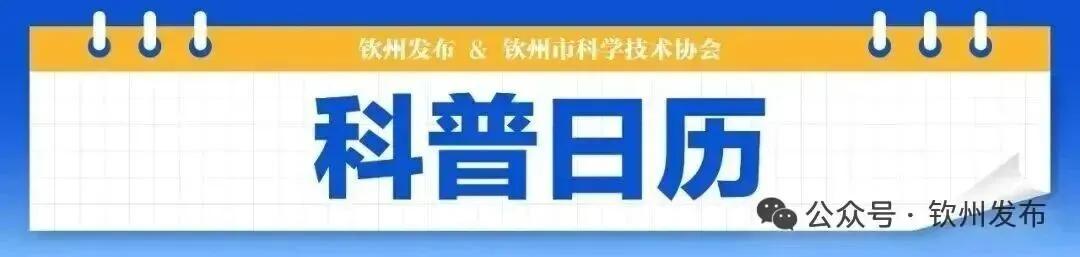 钦州科普日历丨雷电暴雨天气，给新能源车充电会有危险吗？