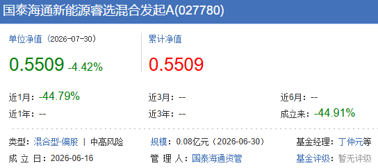 火速建仓迎调整 国泰海通新能源睿选1个半月跌超44%